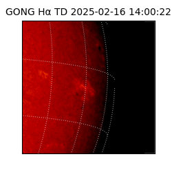 gong - 2025-02-16T14:00:22