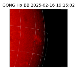 gong - 2025-02-16T19:15:02