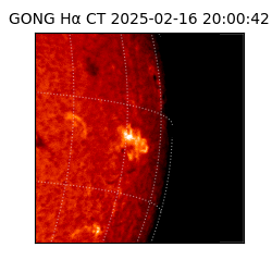 gong - 2025-02-16T20:00:42