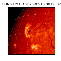 gong - 2025-02-16T08:00:02