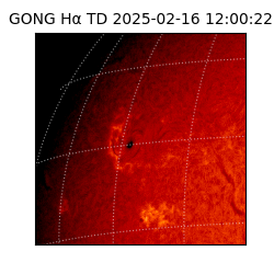 gong - 2025-02-16T12:00:22