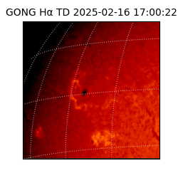 gong - 2025-02-16T17:00:22