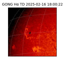 gong - 2025-02-16T18:00:22