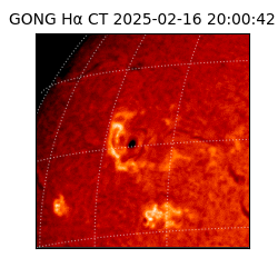 gong - 2025-02-16T20:00:42