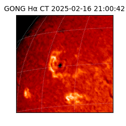 gong - 2025-02-16T21:00:42