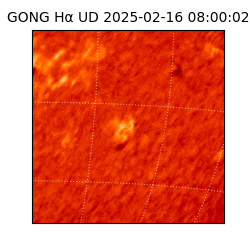 gong - 2025-02-16T08:00:02