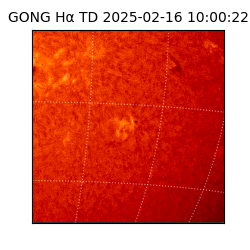 gong - 2025-02-16T10:00:22
