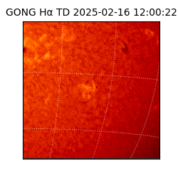 gong - 2025-02-16T12:00:22
