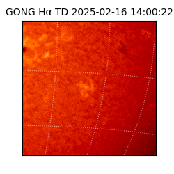 gong - 2025-02-16T14:00:22