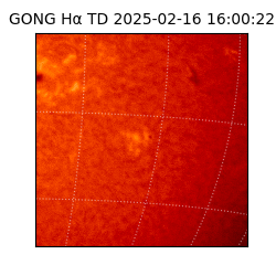 gong - 2025-02-16T16:00:22
