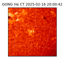 gong - 2025-02-16T20:00:42
