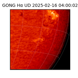 gong - 2025-02-16T04:00:02