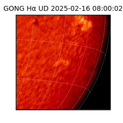 gong - 2025-02-16T08:00:02