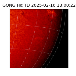 gong - 2025-02-16T13:00:22
