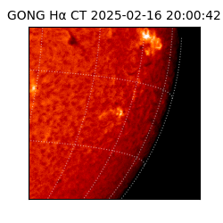 gong - 2025-02-16T20:00:42