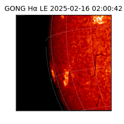 gong - 2025-02-16T02:00:42