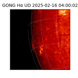 gong - 2025-02-16T04:00:02