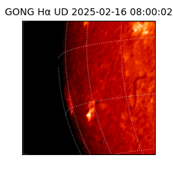 gong - 2025-02-16T08:00:02