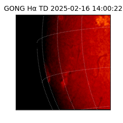 gong - 2025-02-16T14:00:22