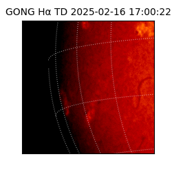 gong - 2025-02-16T17:00:22