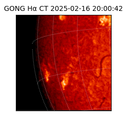 gong - 2025-02-16T20:00:42