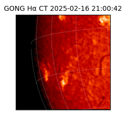 gong - 2025-02-16T21:00:42