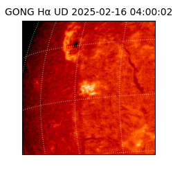 gong - 2025-02-16T04:00:02