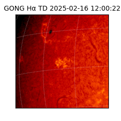 gong - 2025-02-16T12:00:22