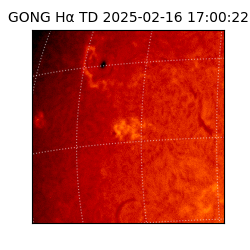 gong - 2025-02-16T17:00:22