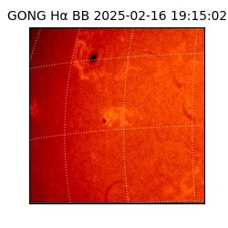 gong - 2025-02-16T19:15:02