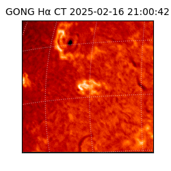gong - 2025-02-16T21:00:42