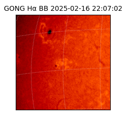 gong - 2025-02-16T22:07:02