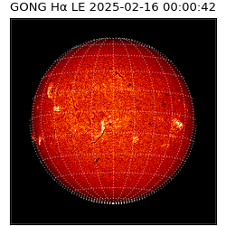 gong - 2025-02-16T00:00:42
