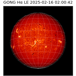 gong - 2025-02-16T02:00:42