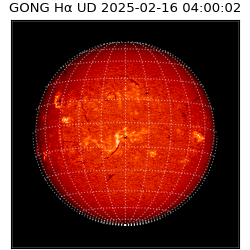 gong - 2025-02-16T04:00:02