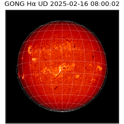 gong - 2025-02-16T08:00:02