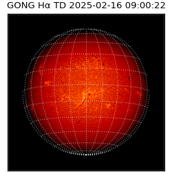 gong - 2025-02-16T09:00:22