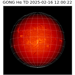 gong - 2025-02-16T12:00:22