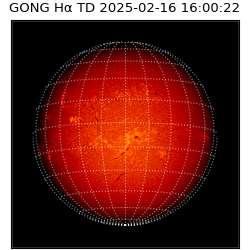 gong - 2025-02-16T16:00:22