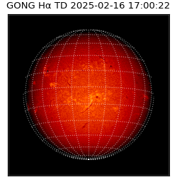 gong - 2025-02-16T17:00:22