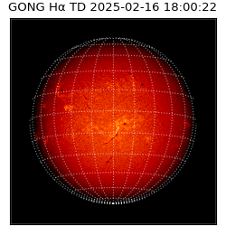 gong - 2025-02-16T18:00:22