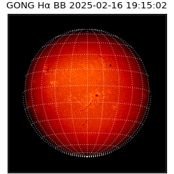 gong - 2025-02-16T19:15:02