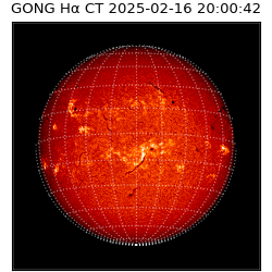 gong - 2025-02-16T20:00:42