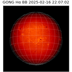 gong - 2025-02-16T22:07:02