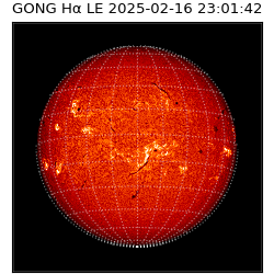 gong - 2025-02-16T23:01:42