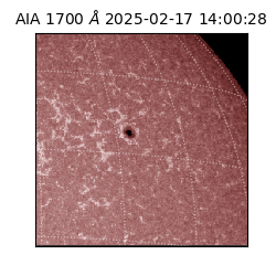 saia - 2025-02-17T14:00:28.710000