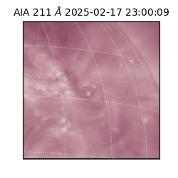 saia - 2025-02-17T23:00:09.625000