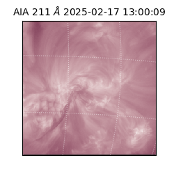 saia - 2025-02-17T13:00:09.630000