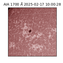 saia - 2025-02-17T10:00:28.718000