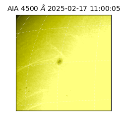 saia - 2025-02-17T11:00:05.962000